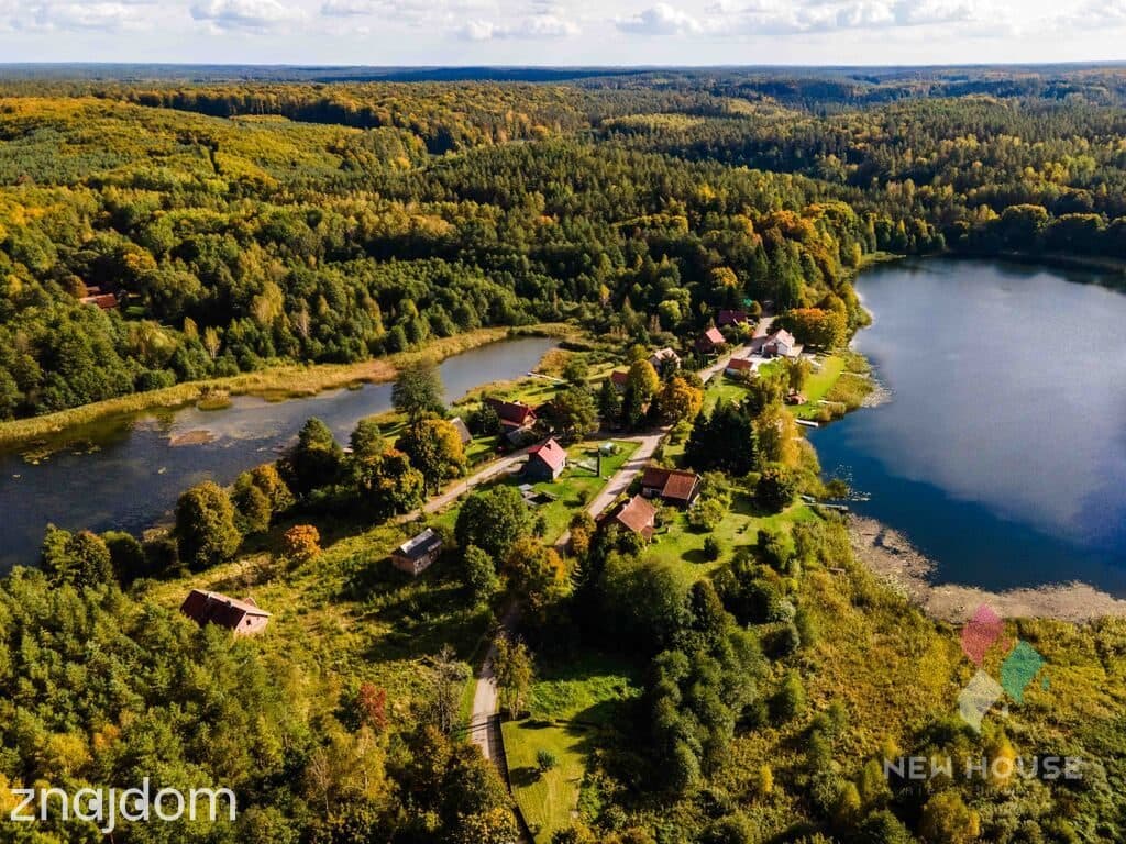 Dłużki, siedlisko nad jez. Dłużek - zdjęcie 18
