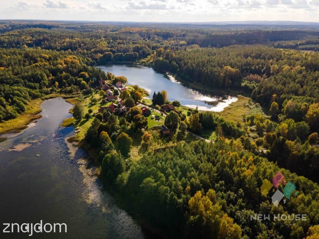 Dłużki, siedlisko nad jez. Dłużek - zdjęcie 19