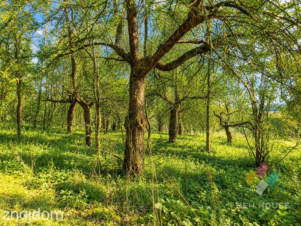 Działka inwestycyjna, S7, MPZP, media 3484 m2 - zdjęcie 13