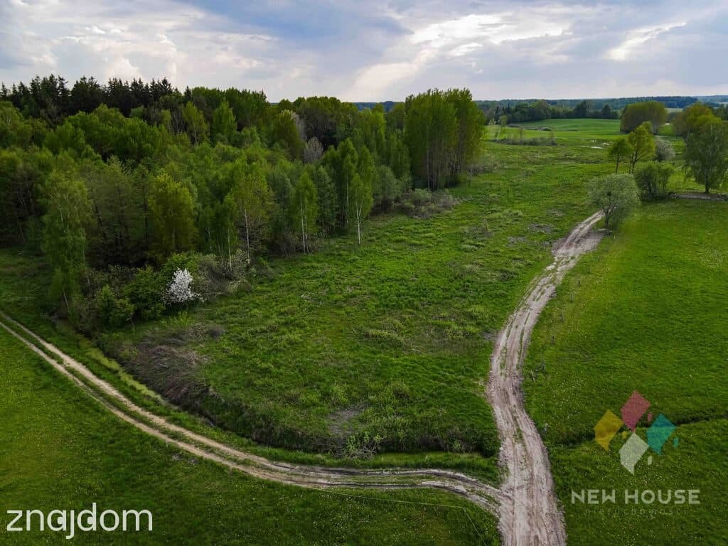 działka pod siedlisko, w otoczeniu lasu - zdjęcie 7