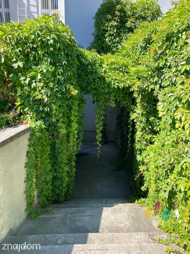 Olsztyn apartament do wynajęcia/ Stare Miasto - 1p - zdjęcie 14