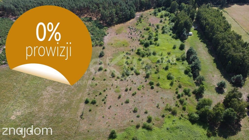 Działka 1007 m² z WZ, blisko Doliny Baryczy i tras - zdjęcie 3