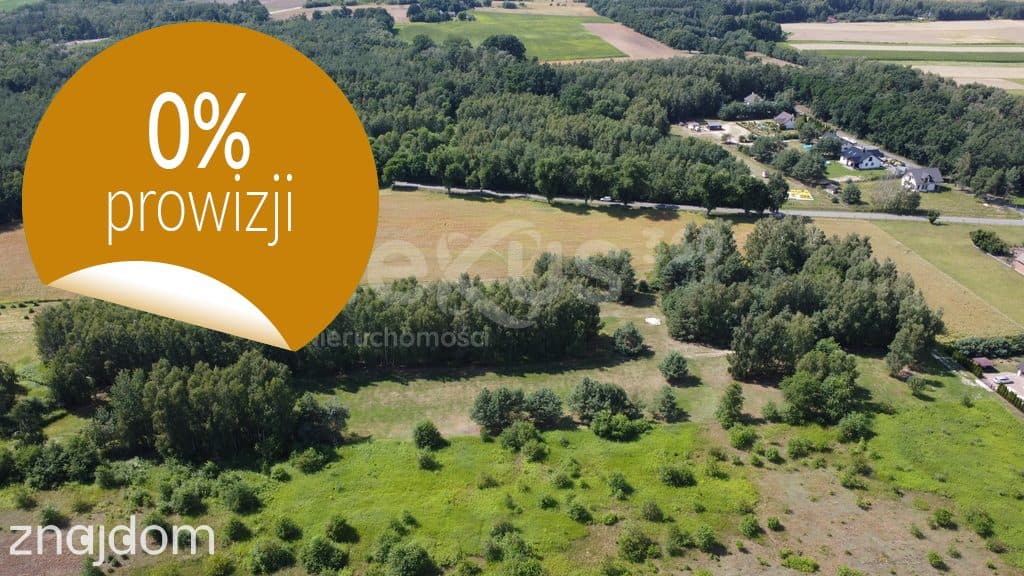 Działka 1007 m² z WZ, blisko Doliny Baryczy i tras - zdjęcie 4