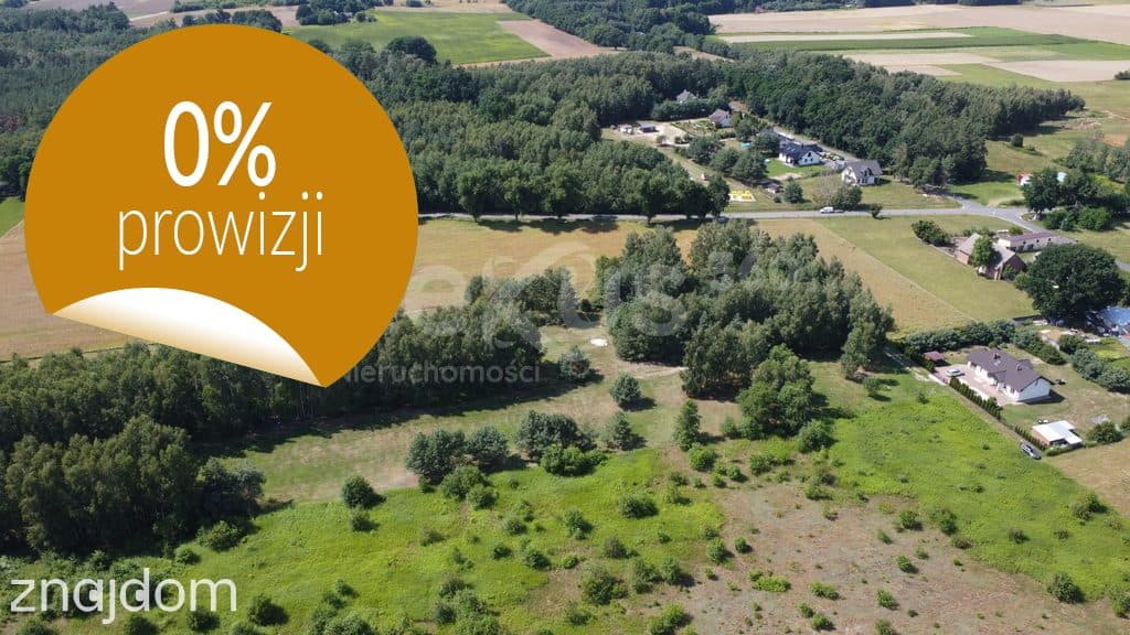 Działka 1007 m² z WZ, blisko Doliny Baryczy i tras - zdjęcie 6