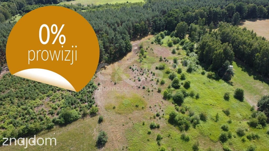 Działka 1007 m² z WZ, blisko Doliny Baryczy i tras - zdjęcie 11