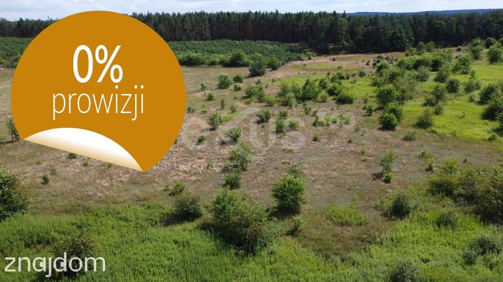 Działka 1007 m² z WZ, blisko Doliny Baryczy i tras - zdjęcie 15