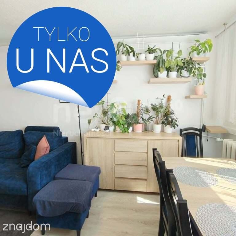 3 pokoje po remoncie | Balkon zabudowany |Oleśnica - zdjęcie 4