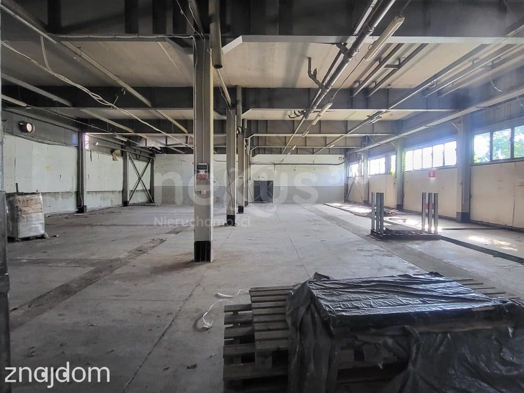 Hala 2500 m2 produkcyjno-magazynowo-biurowa - zdjęcie 7