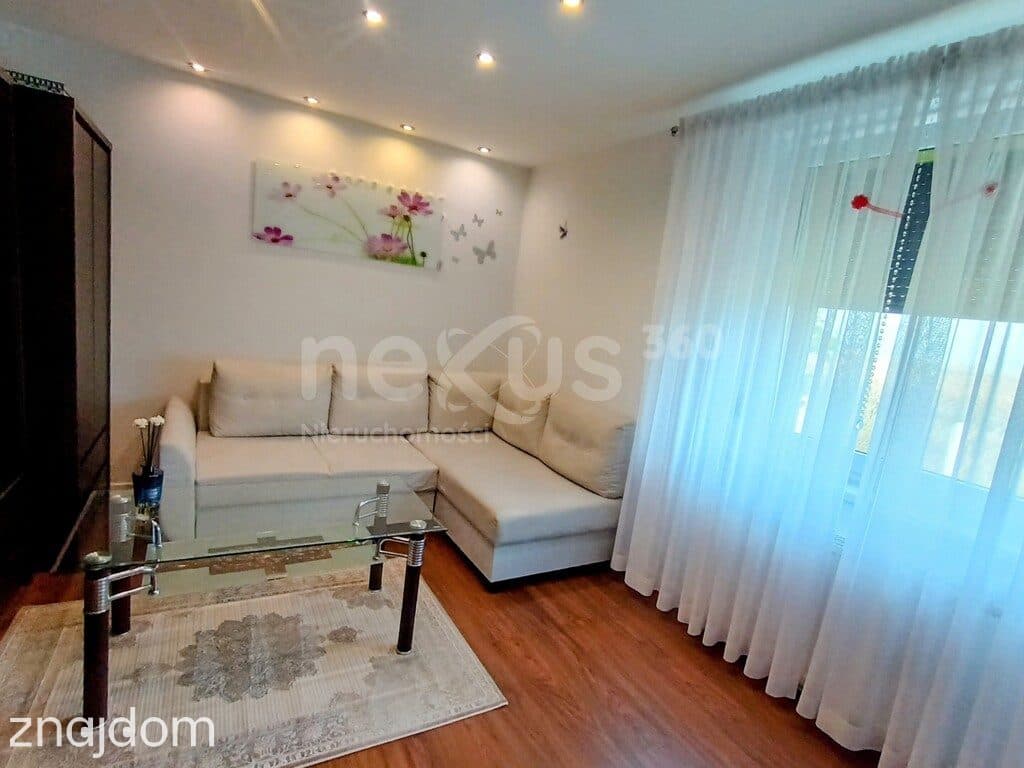 40 m² | 2 pokoje | parter | ogródek | garaż | piwnica | bezczynszowe - zdjęcie 2