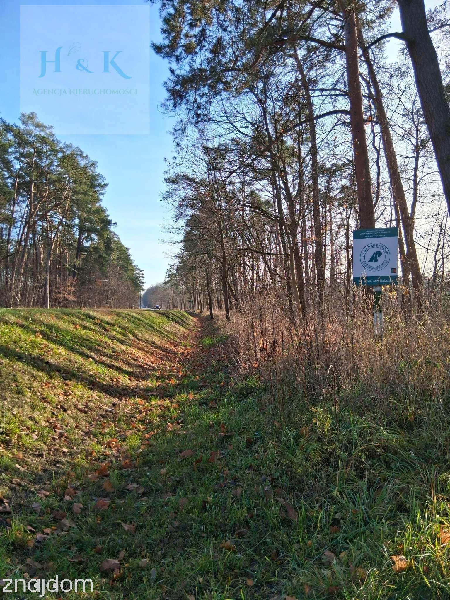 Duża działka budowlana w okolicy Konstancina-Jeziorny - zdjęcie 11
