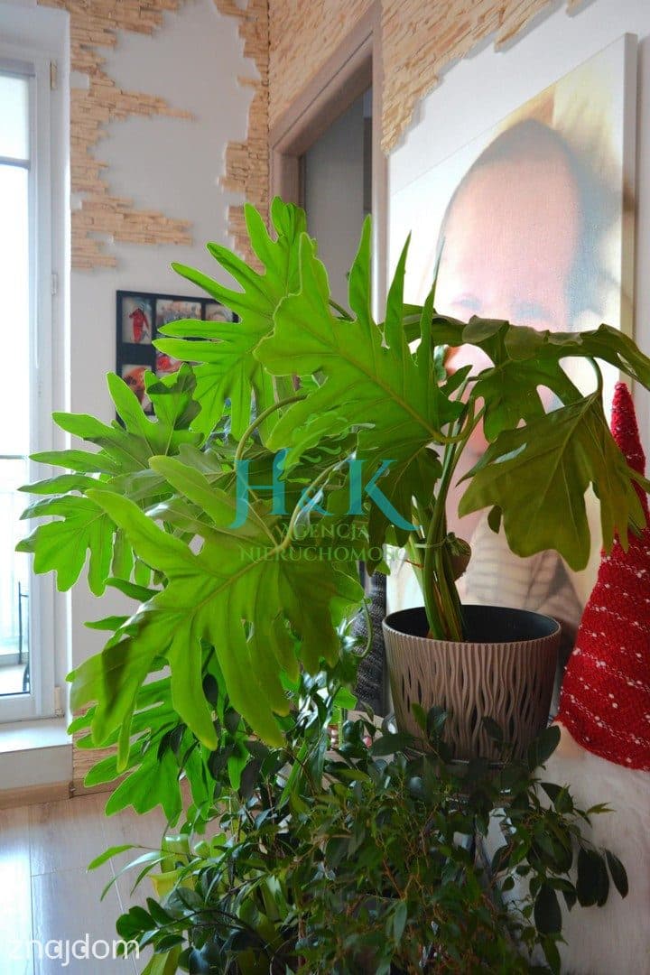 3 pokoje | 46,6 m² | duży zabudowany balkon | miejsce postojowe | Piaseczno - zdjęcie 5