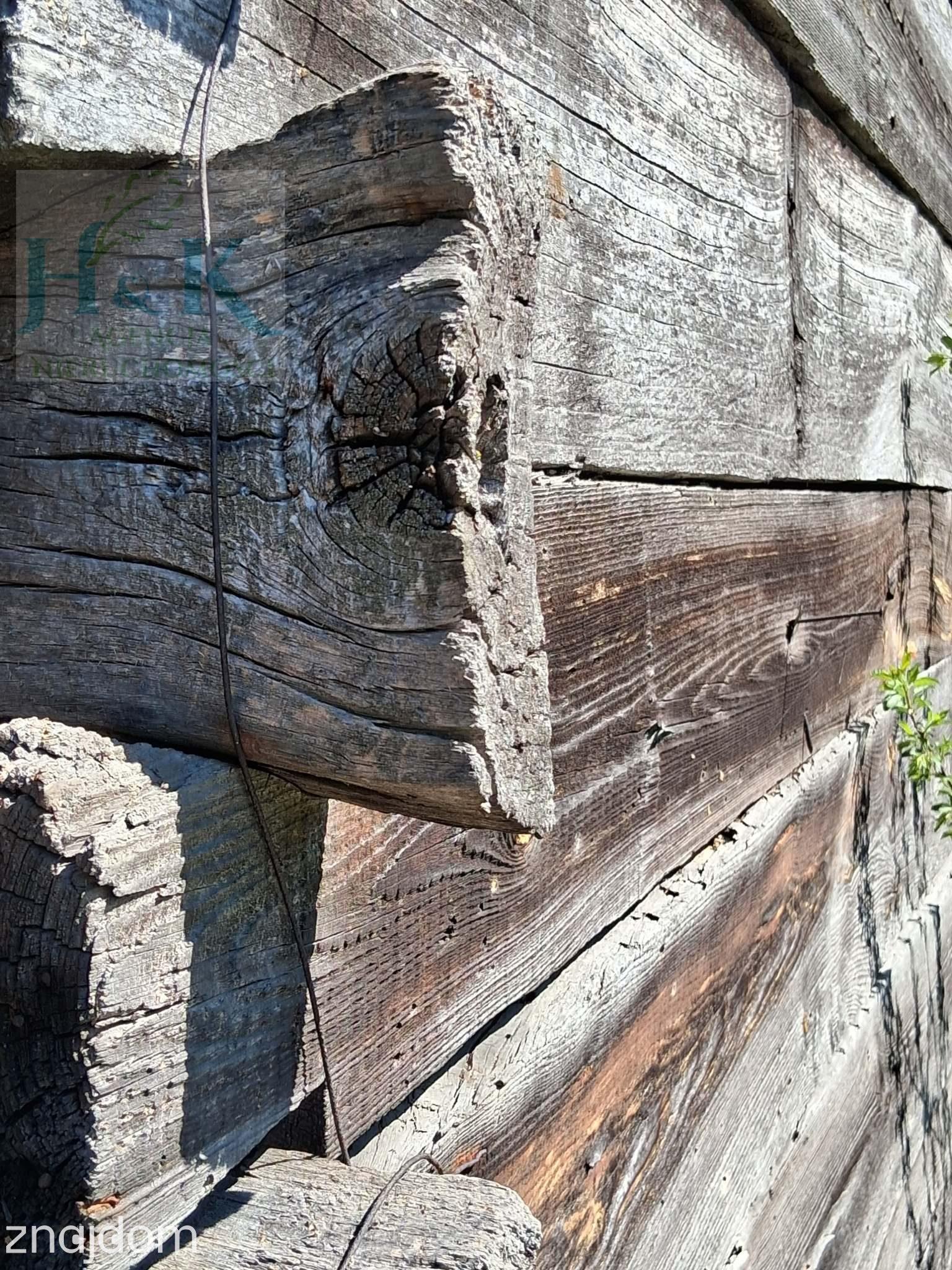 Wojnów — miejsce, gdzie czas zwalnia, a las opowiada własne historie - zdjęcie 13
