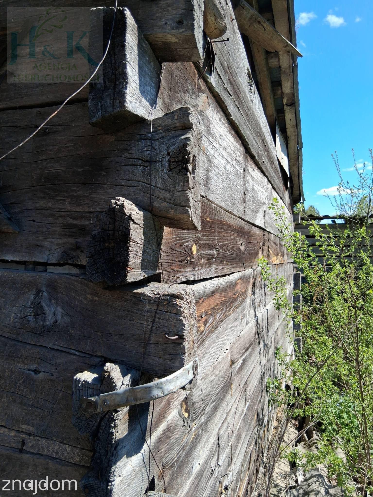 Wojnów — miejsce, gdzie czas zwalnia, a las opowiada własne historie - zdjęcie 14
