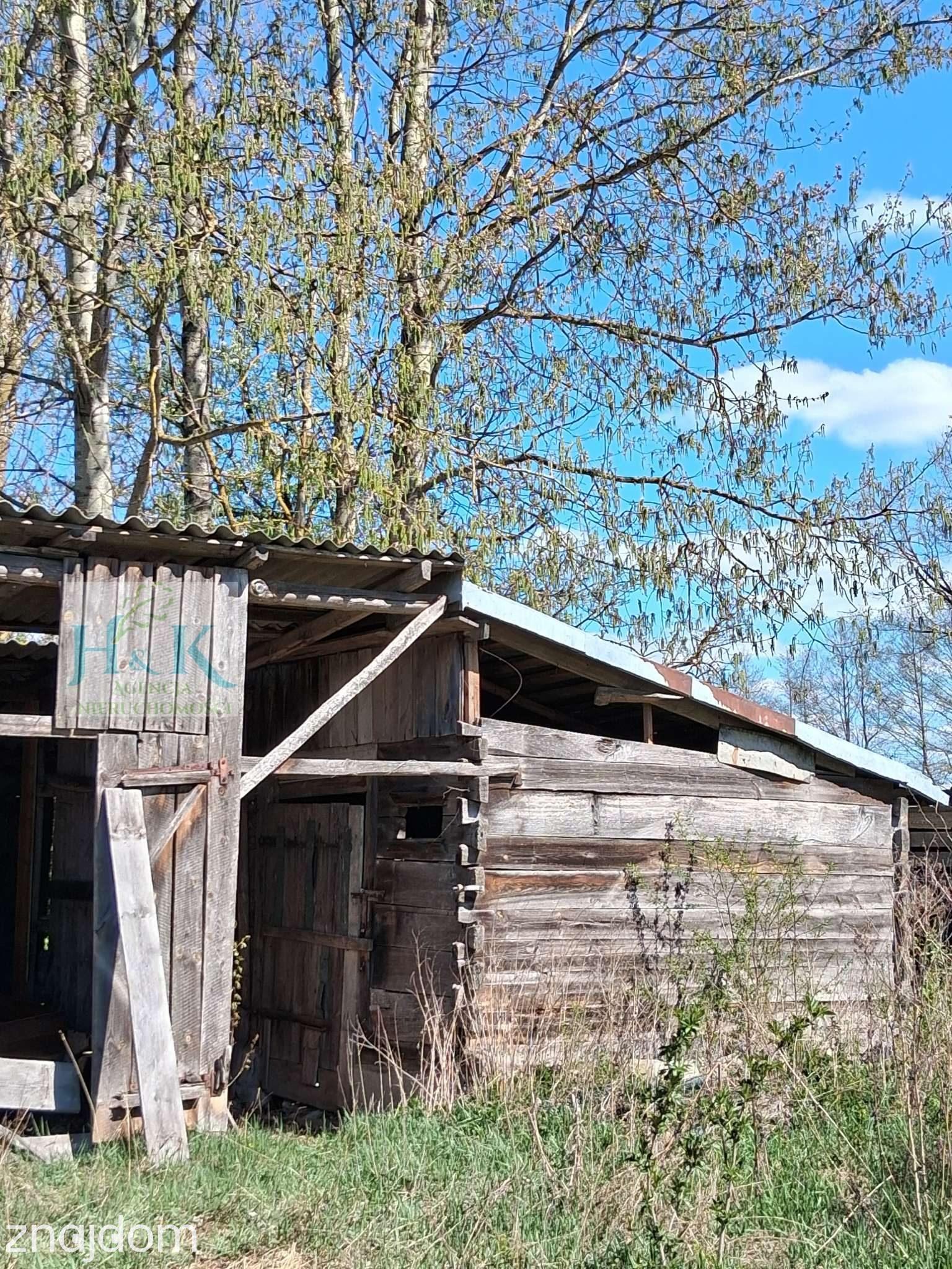 Wojnów — miejsce, gdzie czas zwalnia, a las opowiada własne historie - zdjęcie 15