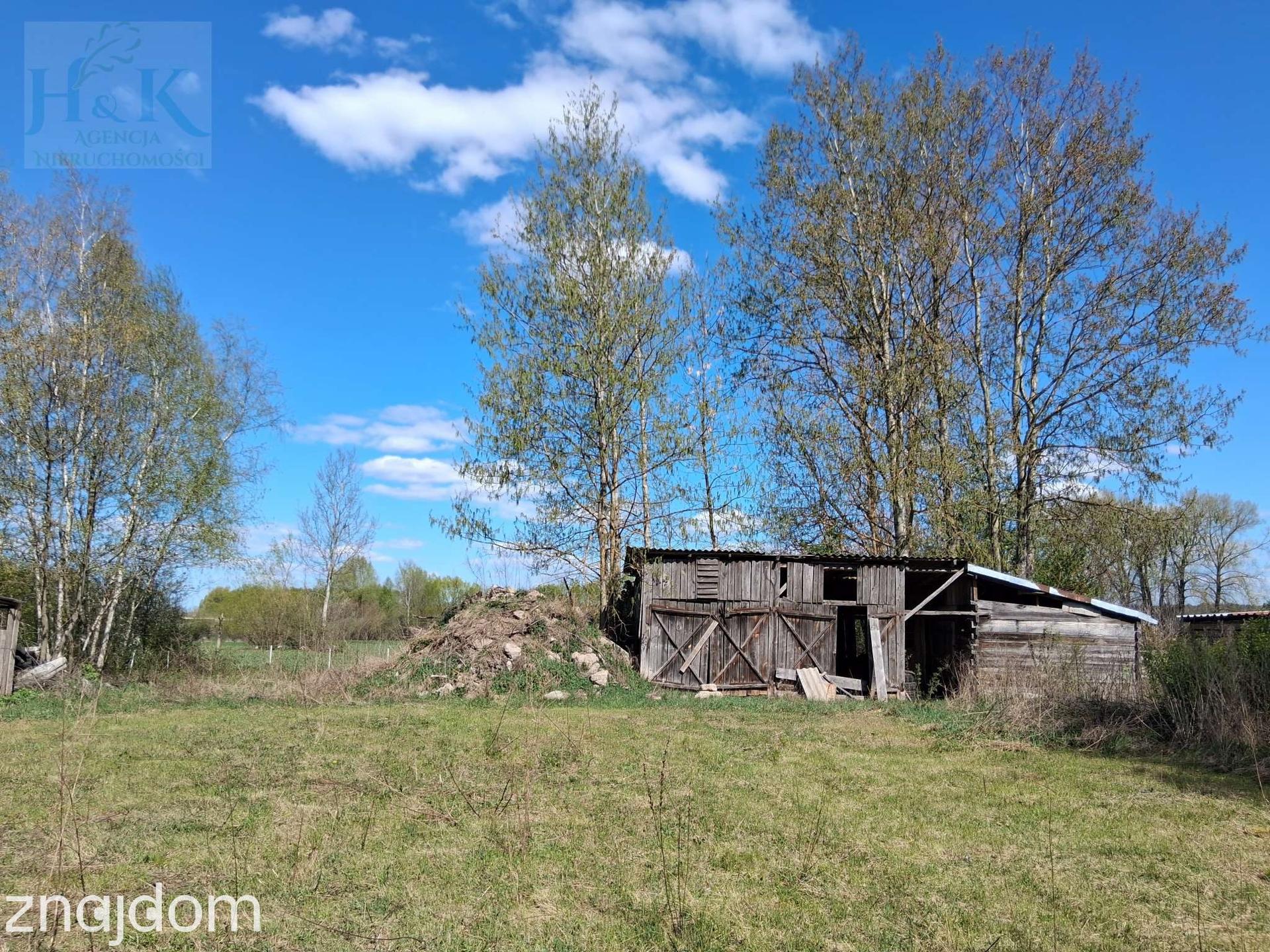 Wojnów — miejsce, gdzie czas zwalnia, a las opowiada własne historie - zdjęcie 16