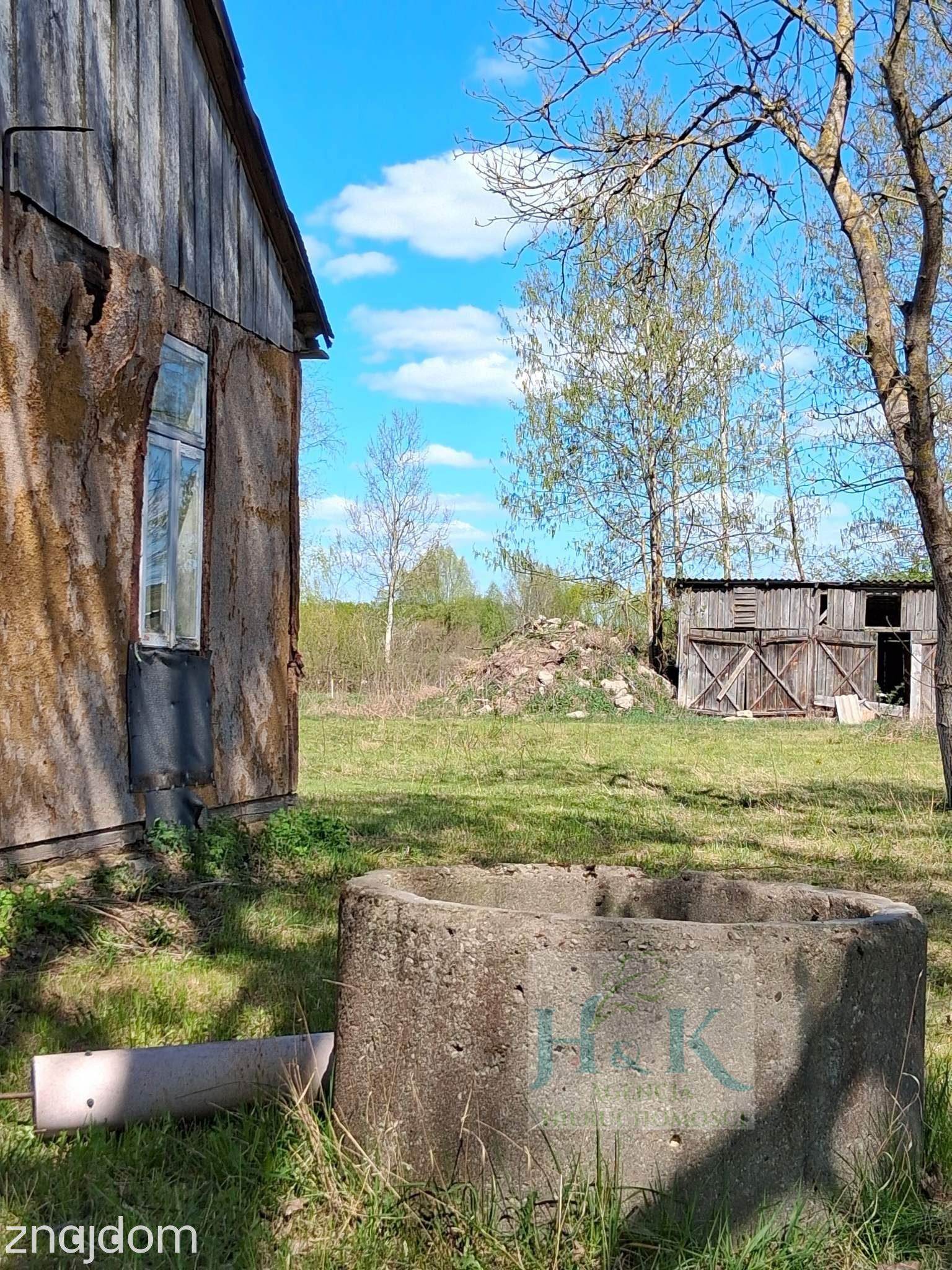 Wojnów — miejsce, gdzie czas zwalnia, a las opowiada własne historie - zdjęcie 5