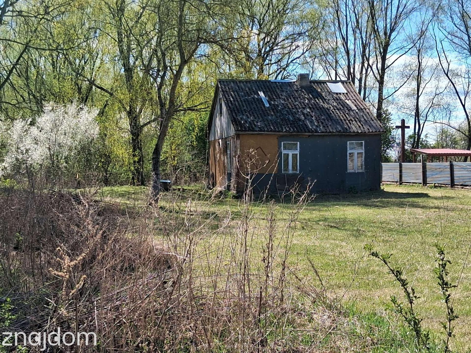 Wojnów — miejsce, gdzie czas zwalnia, a las opowiada własne historie - zdjęcie 8
