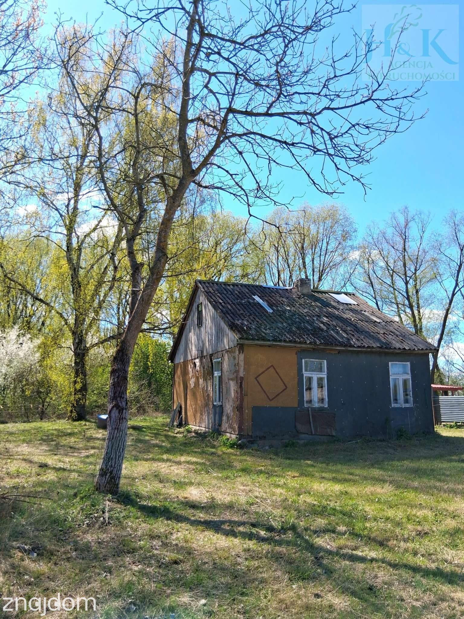 Wojnów — miejsce, gdzie czas zwalnia, a las opowiada własne historie