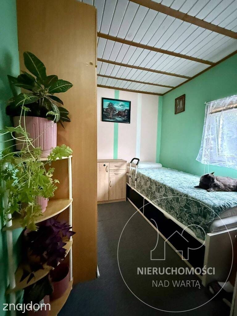 Poznań | ROD Górczynka Komfortowy domek parterowy - zdjęcie 14