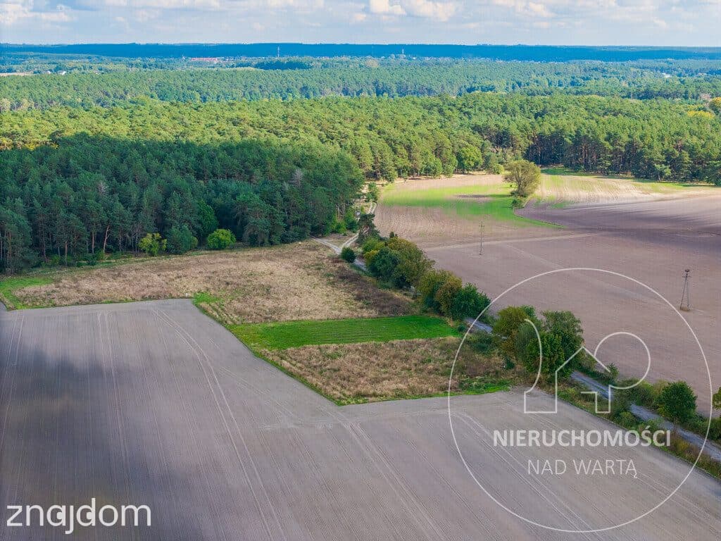 Potrzanowo | 1062 m² | MPZP | prąd przy działce | - zdjęcie 9