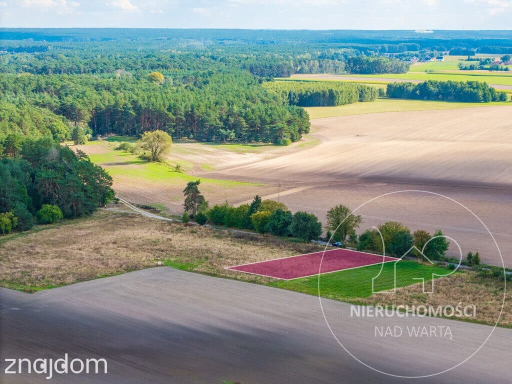 Potrzanowo | 1062 m² | MPZP | prąd przy działce | - zdjęcie 4