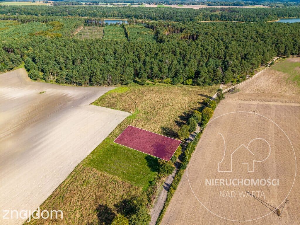 Potrzanowo | 1062 m² | MPZP | prąd przy działce | - zdjęcie 2