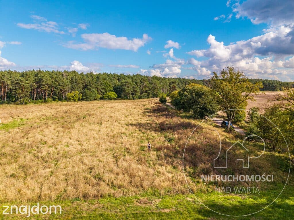 Potrzanowo | 1062 m² | MPZP | prąd przy działce | - zdjęcie 13
