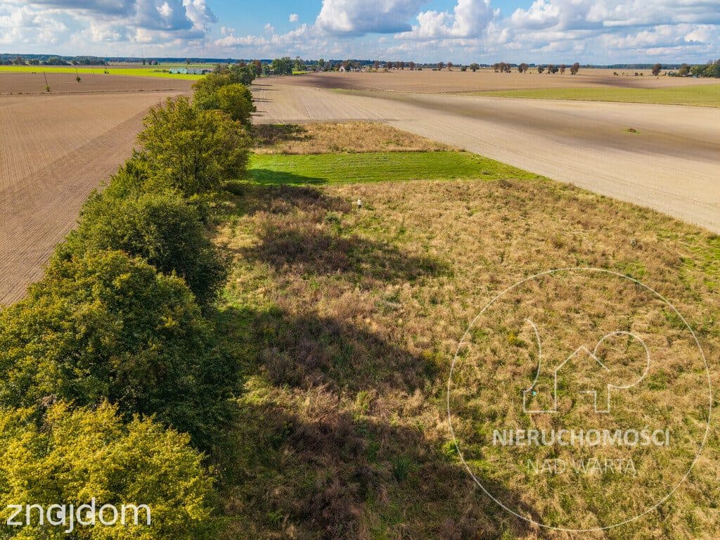Potrzanowo | 1062 m² | MPZP | prąd przy działce | - zdjęcie 14
