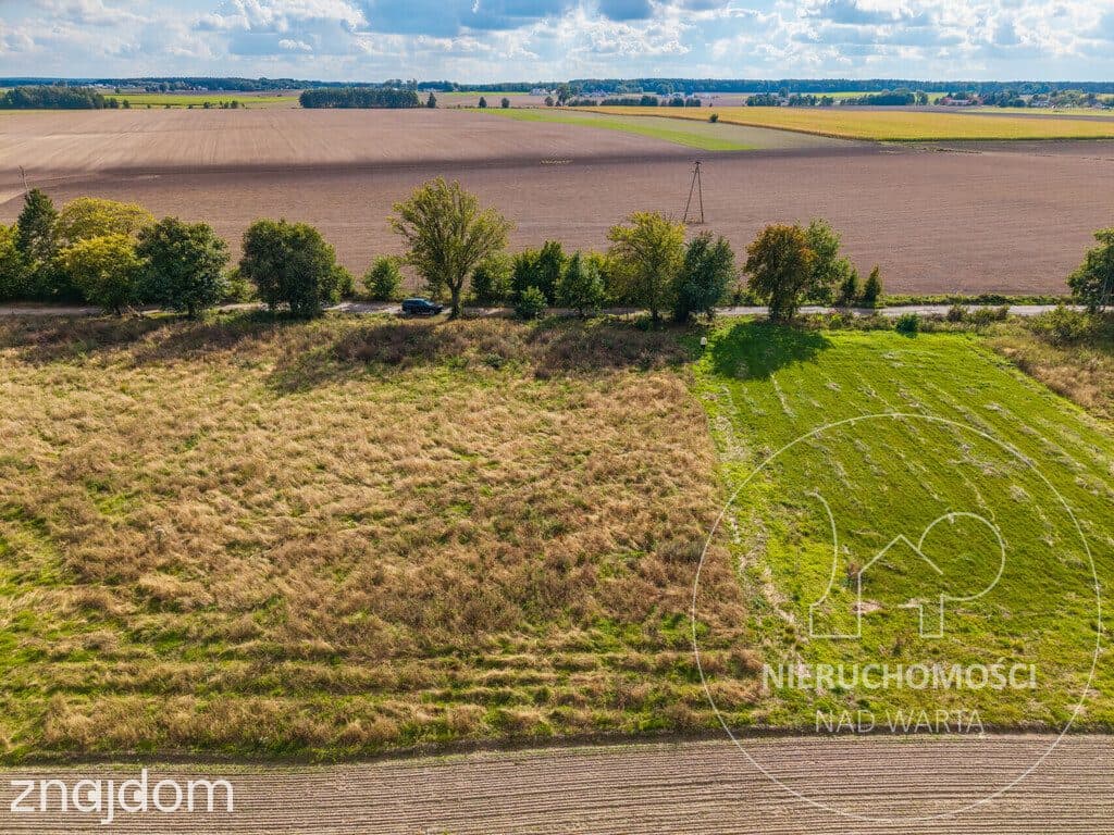 Potrzanowo | 1062 m² | MPZP | prąd przy działce | - zdjęcie 16