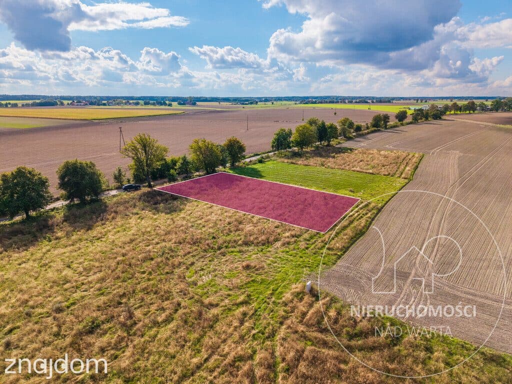 Potrzanowo | 1062 m² | MPZP | prąd przy działce | - zdjęcie 10
