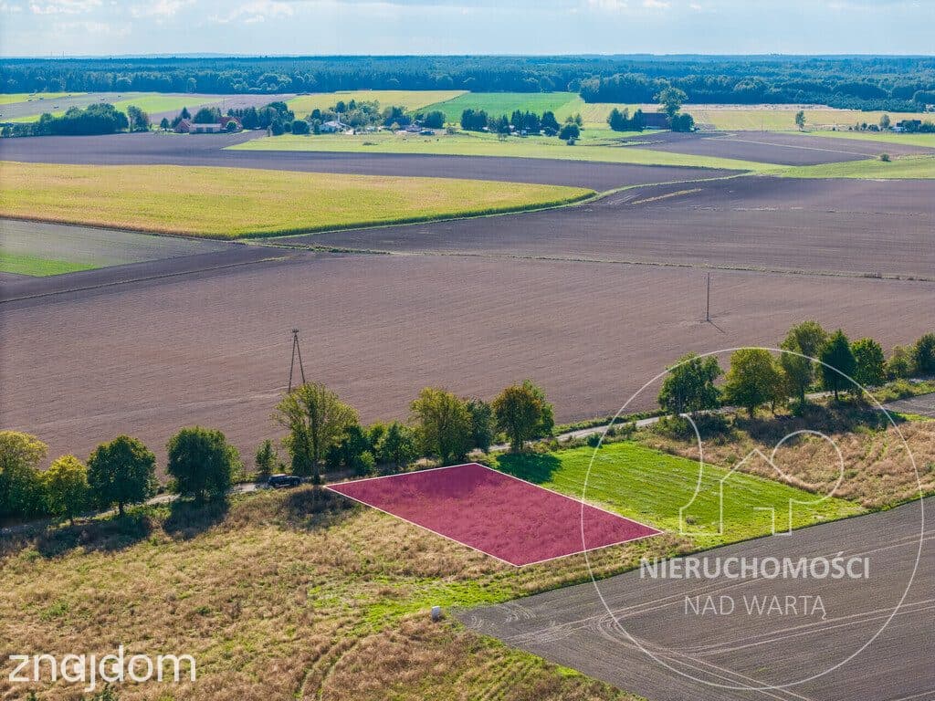 Potrzanowo | 1062 m² | MPZP | prąd przy działce | - zdjęcie 19