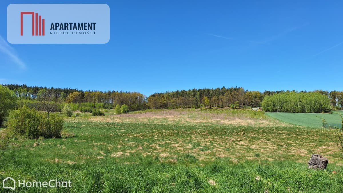 Działka 2500 m2 Czernikowice przy lesie