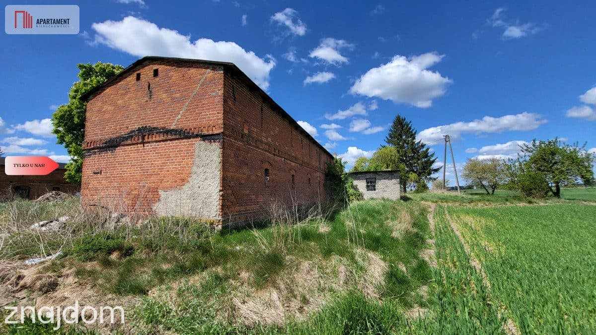 Dom, stodoła, siedlisko - rezerwacja - zdjęcie 14