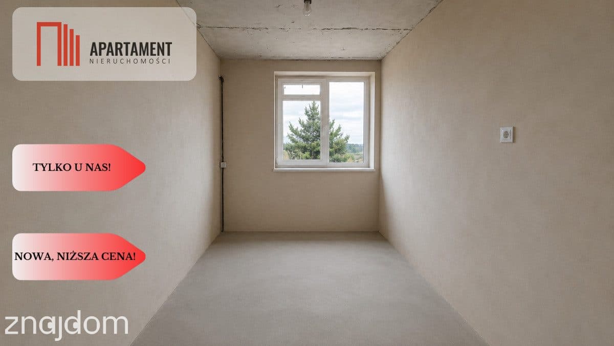 MIESZKANIE W TRAKCIE KAPITALNEGO REMONTU - ŚLESIN - zdjęcie 4