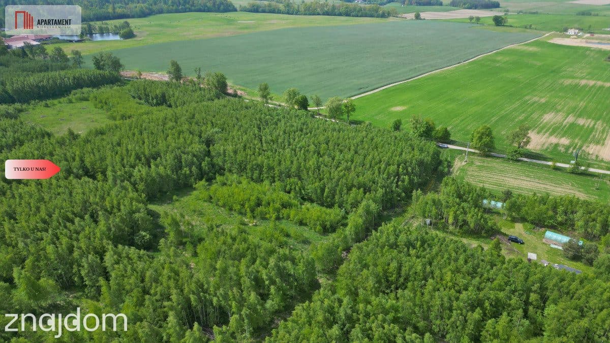 Działka Borcz 3069 m2 MPZP - zdjęcie 7