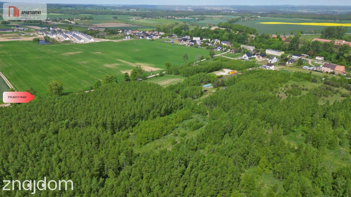 Działka Borcz 3069 m2 MPZP - zdjęcie 8