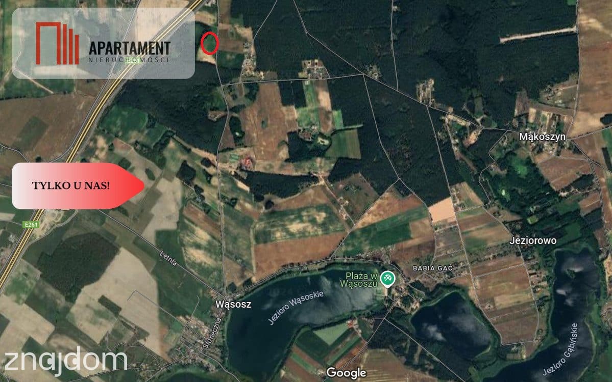 *Działki 830- 3132m2  Kowalewo Szubin ŚCIANA LASU - zdjęcie 12