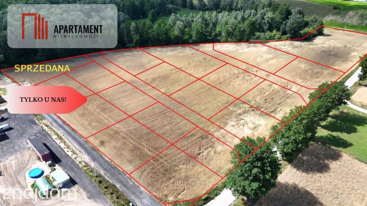 *Działki 830- 3132m2  Kowalewo Szubin ŚCIANA LASU - zdjęcie 2