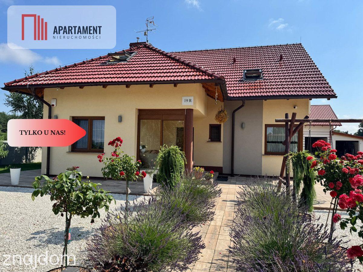 Dla rodziny z dziećmi, Do dalszego wynajmu, Blisko - zdjęcie 2