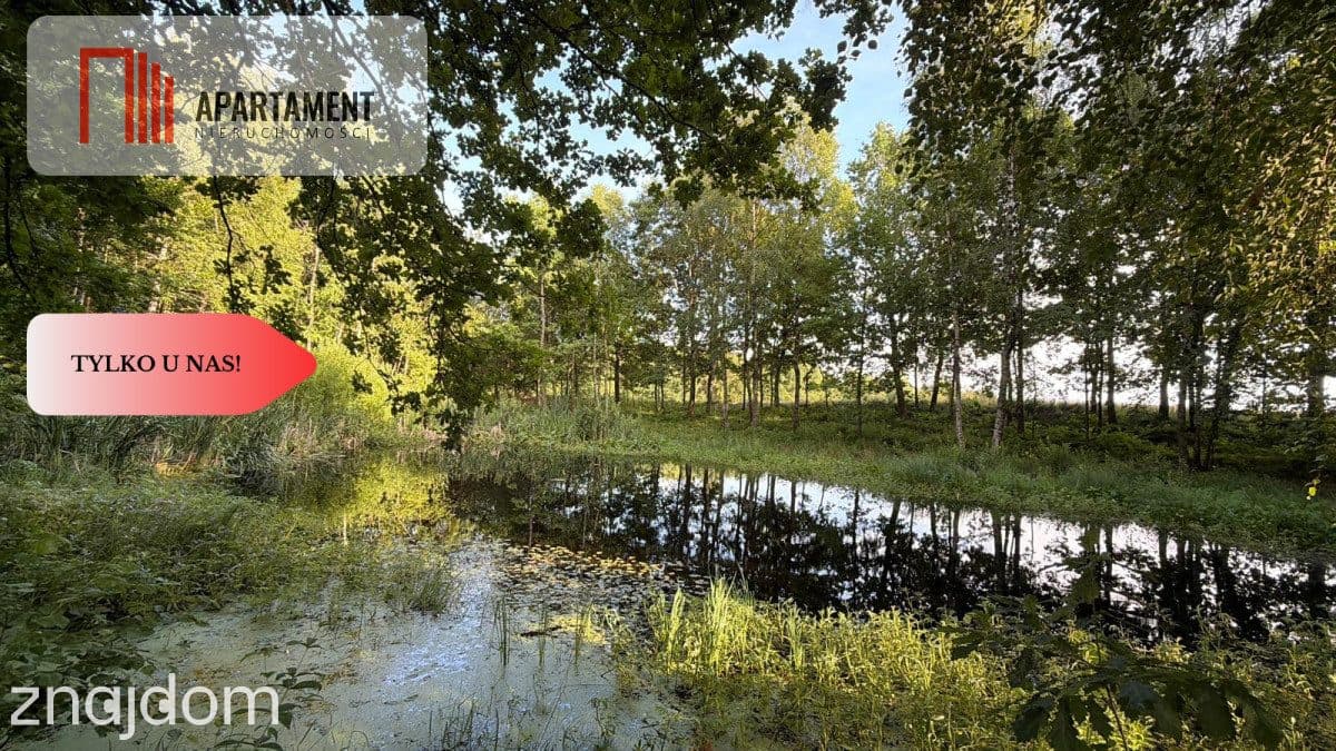 3 ha las, staw | Wydane warunki zabudowy - zdjęcie 2