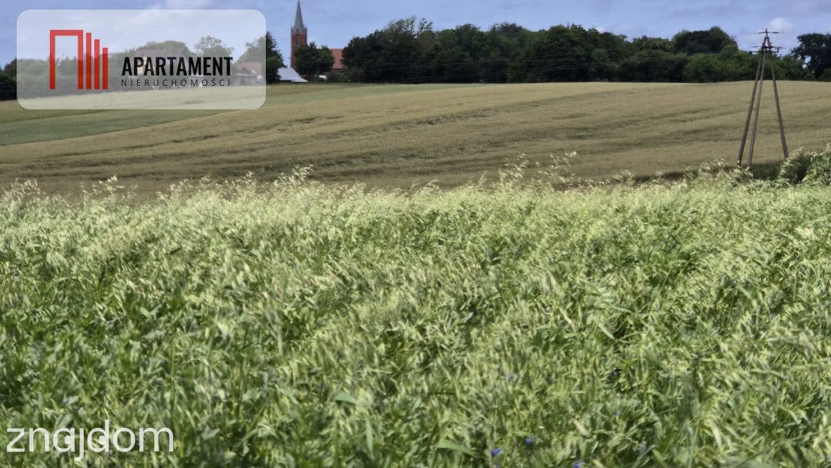 Działka na dom marzeń-twoje miejsce w naturze - zdjęcie 2
