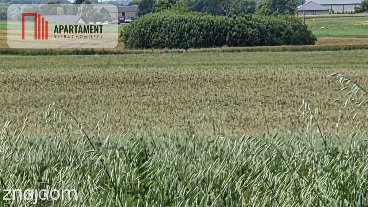Działka na dom marzeń-twoje miejsce w naturze - zdjęcie 3