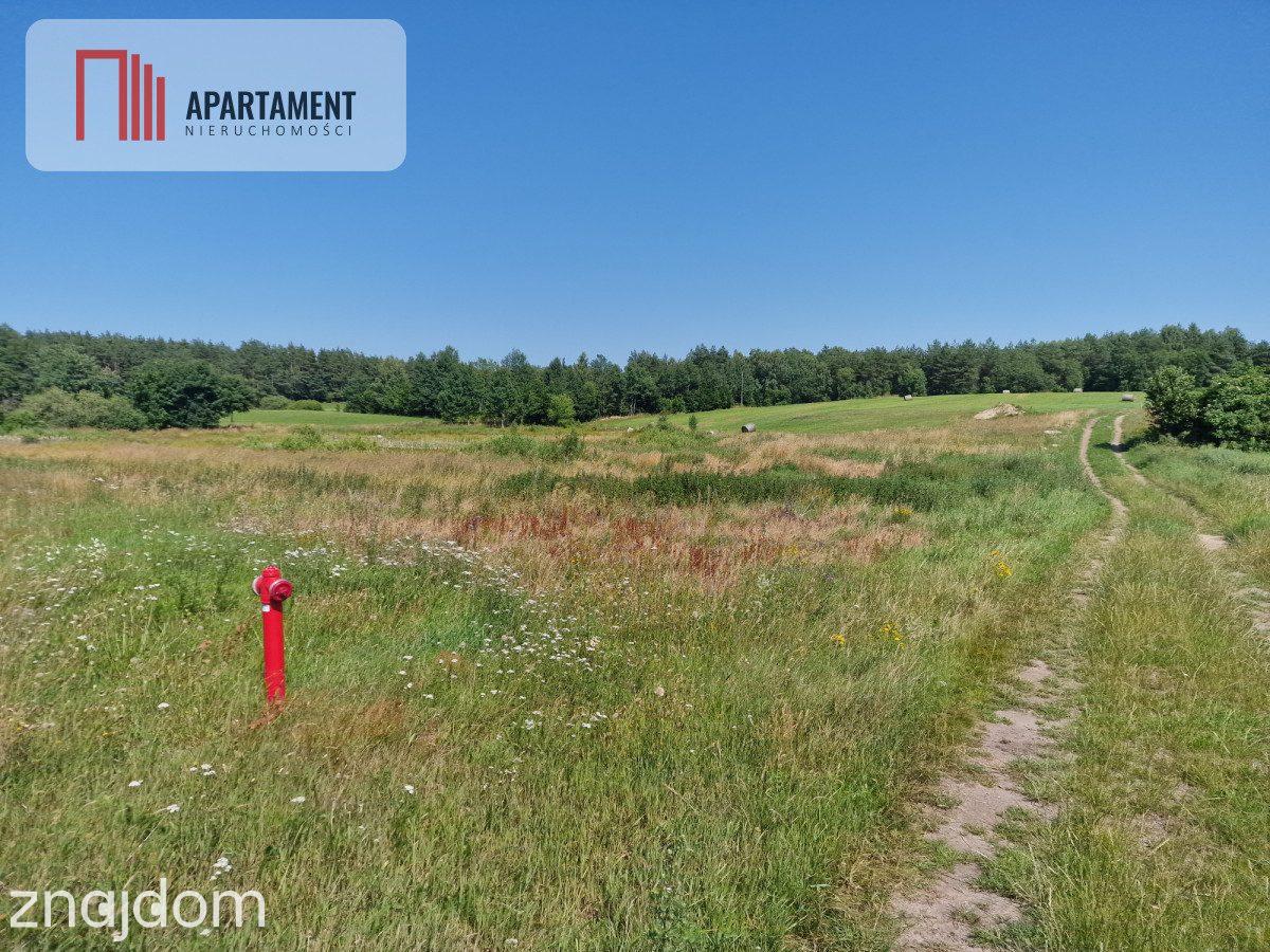 Działka budowlana 8308 m² z WZ | Roztoka |