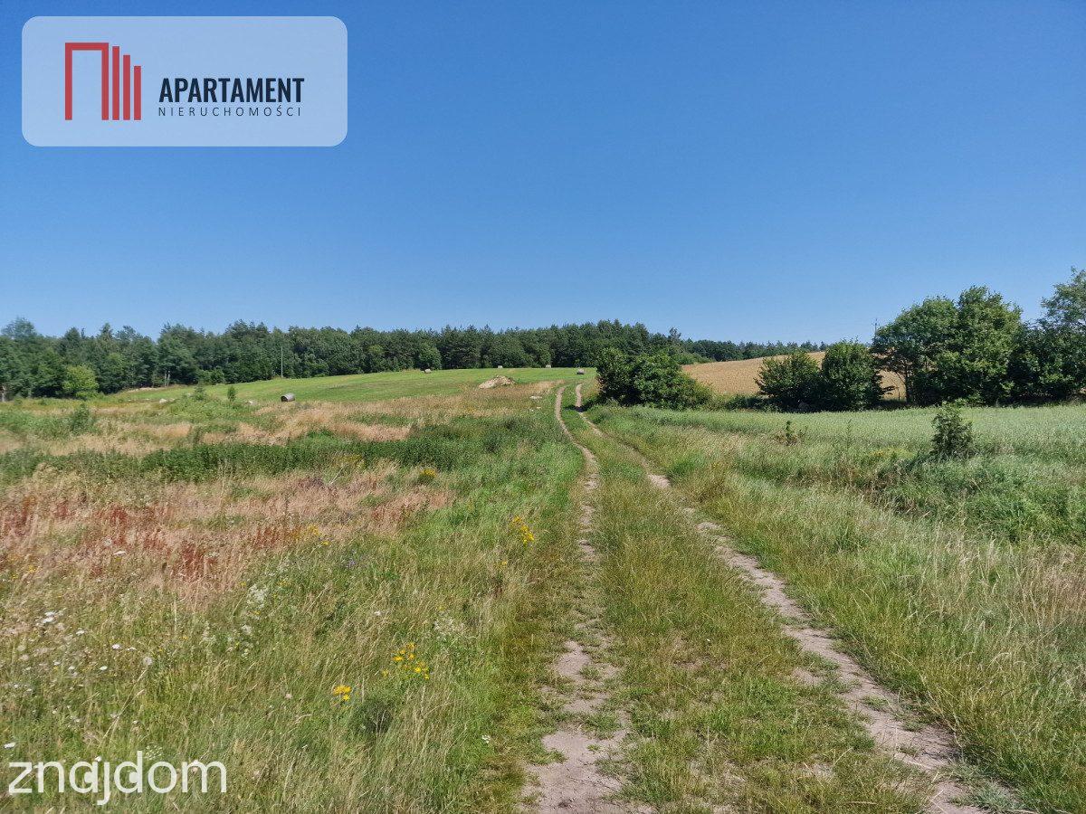 Działka budowlana 8308 m² z WZ | Roztoka | - zdjęcie 2
