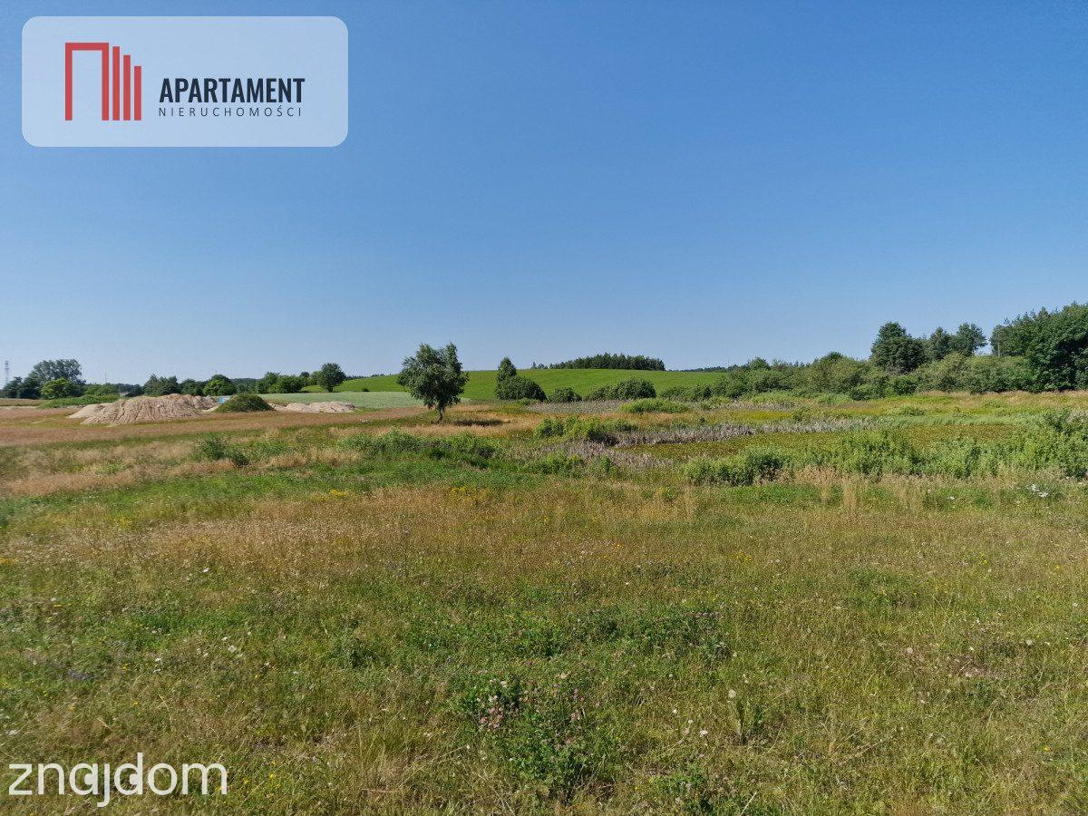 Działka budowlana 8308 m² z WZ | Roztoka | - zdjęcie 3