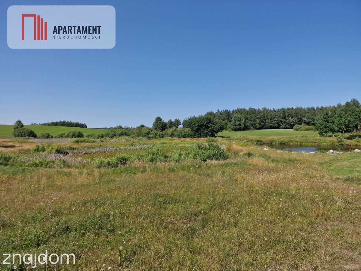Działka budowlana 8308 m² z WZ | Roztoka | - zdjęcie 5