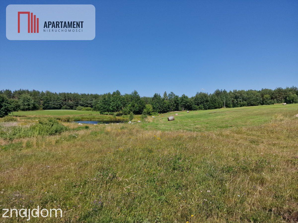 Działka budowlana 8308 m² z WZ | Roztoka | - zdjęcie 6