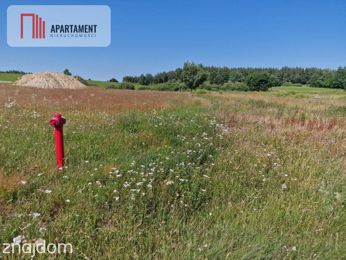 Działka budowlana 8308 m² z WZ | Roztoka | - zdjęcie 7