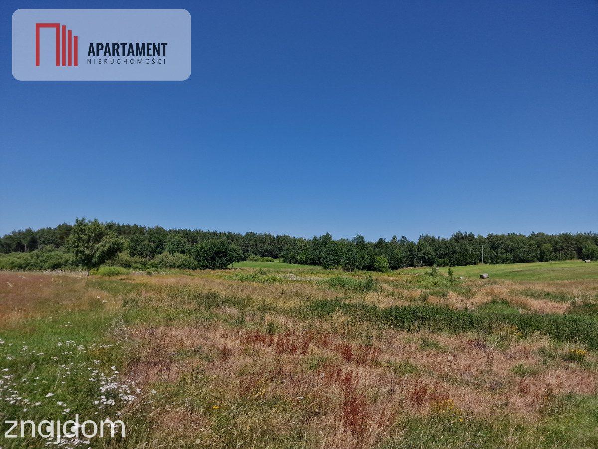 Działka budowlana 8308 m² z WZ | Roztoka | - zdjęcie 8