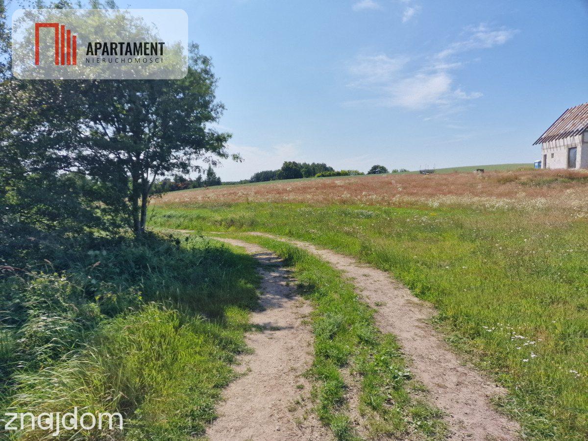 Działka budowlana 8308 m² z WZ | Roztoka | - zdjęcie 9
